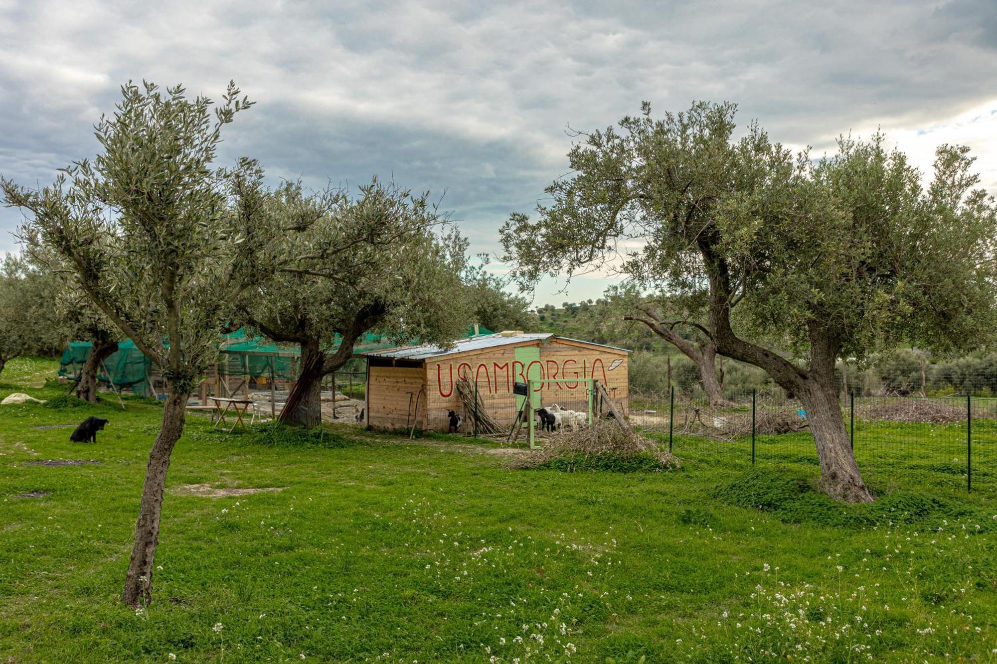 Masseria Usamborgia Noto Kültér fotó