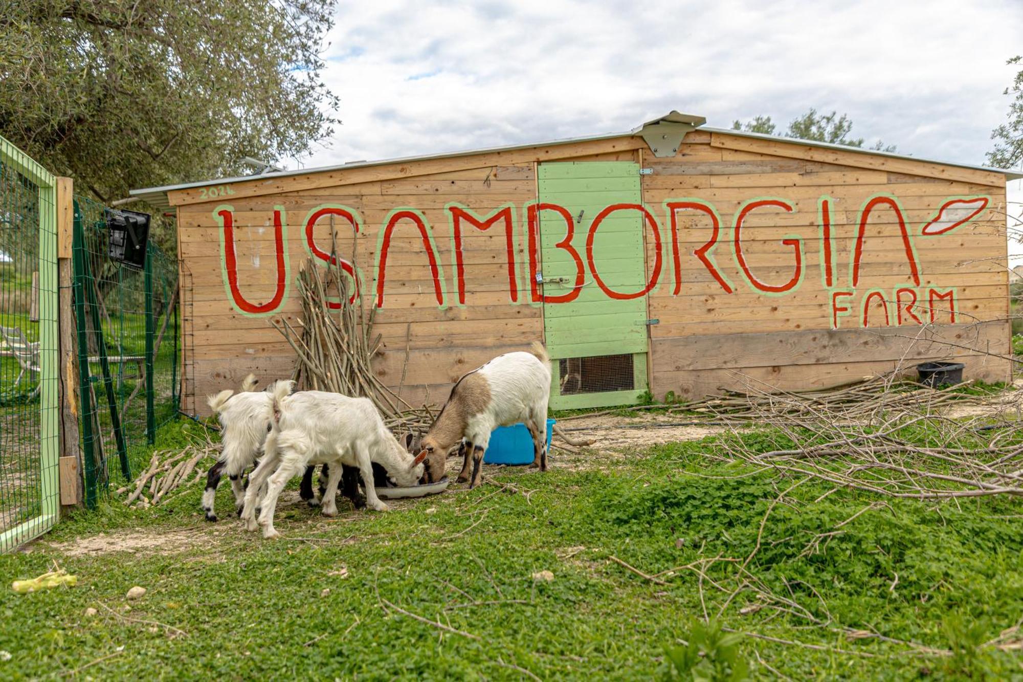 Masseria Usamborgia Noto Kültér fotó